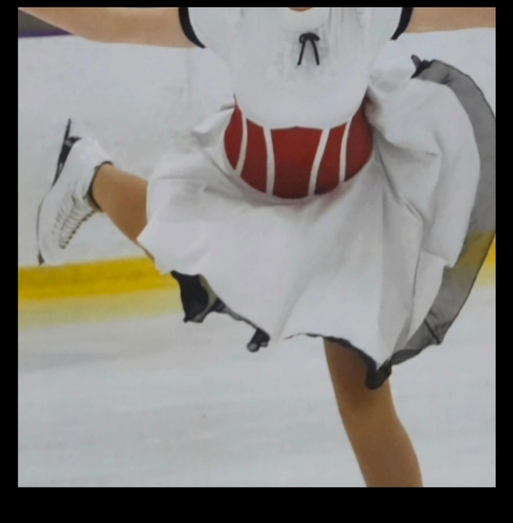 Mary Poppins inspired Ice skating dress - Picture 5 of 5